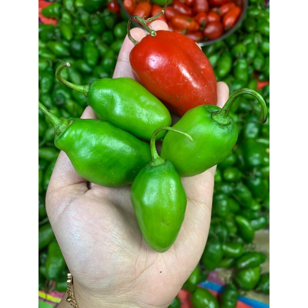 

Cabe Cabai Gendot Fresh Teh Santi