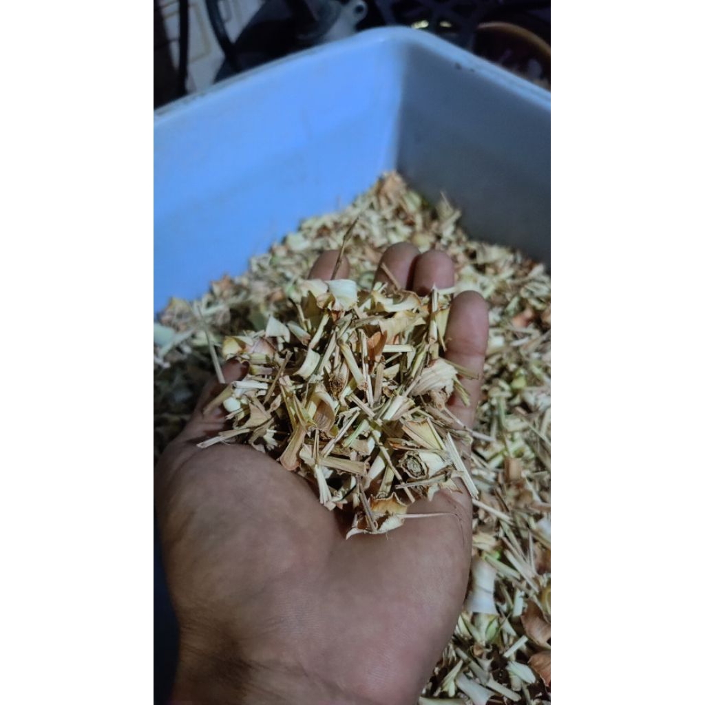 

Sereh kering/Serai kering / lemongras / Cymbopogon.kemasan 100gr