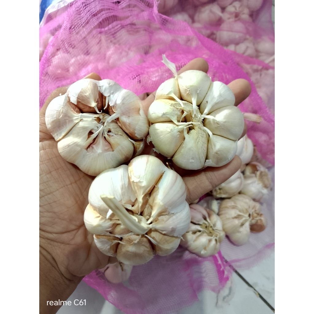

Bawang Putih Bersih 1kg aroma kuat