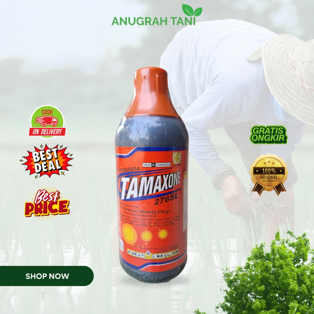 Herbisida Tamaxone 500 ML 276 SL setara Gramoxone, Ampuh Membasmi Rumput