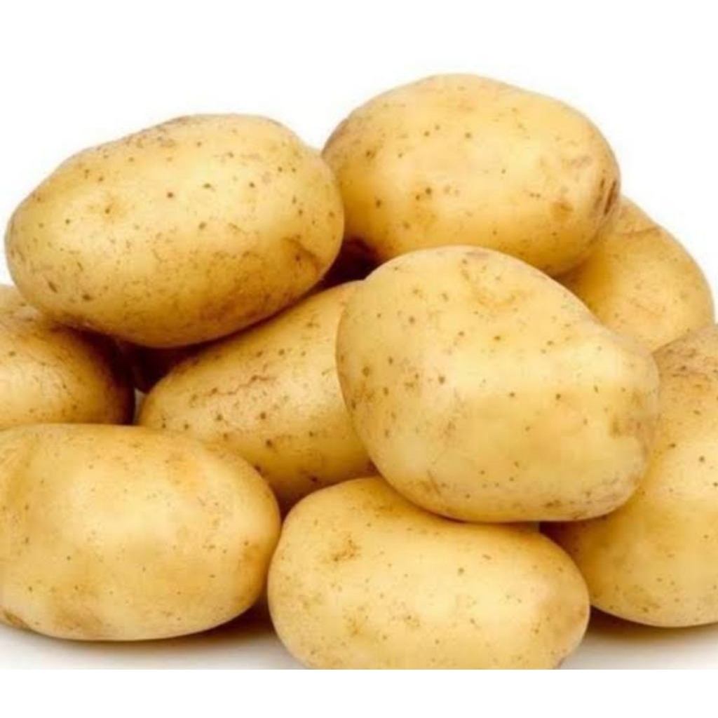 

kentang dieng dari petani langsung 1 kg