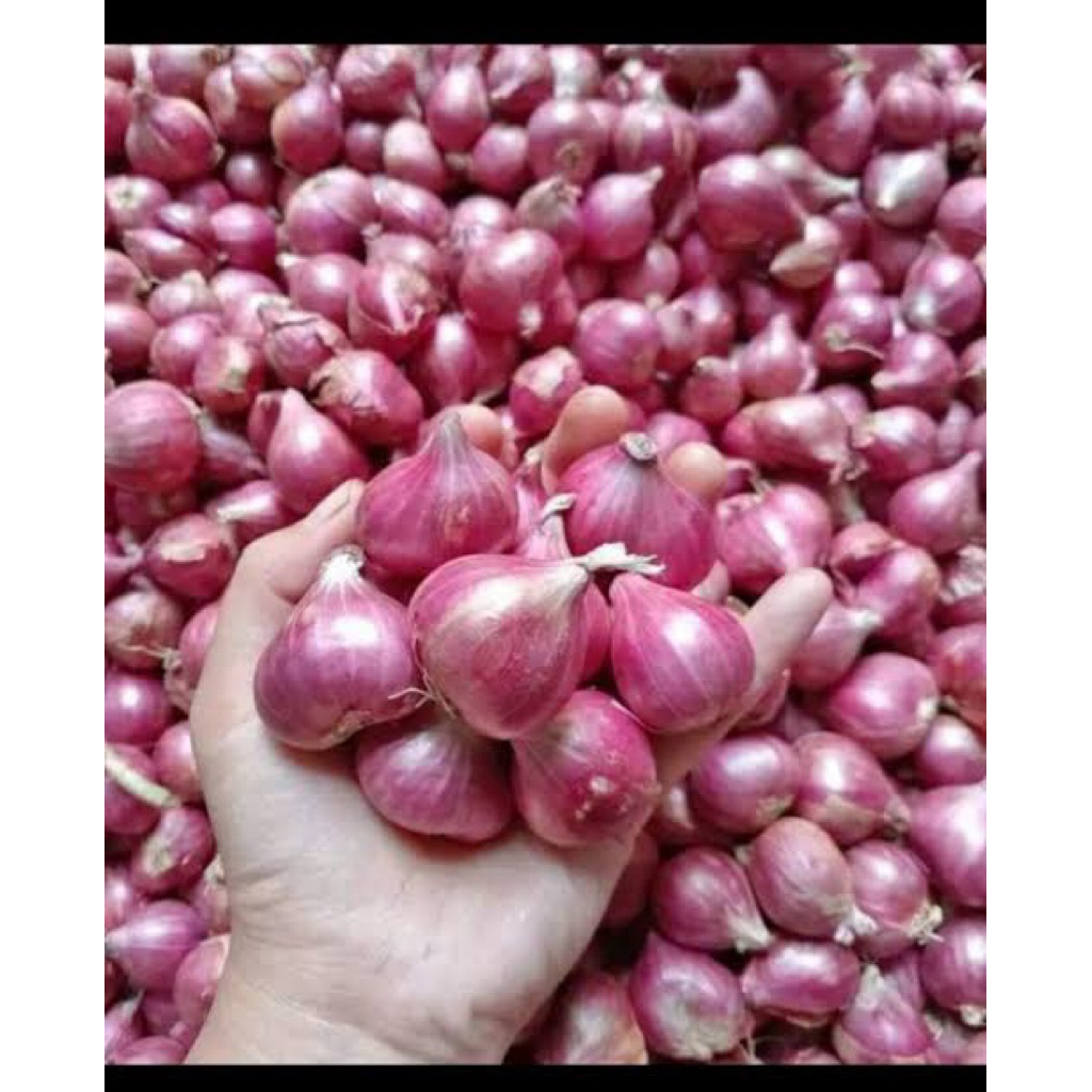 

bawang merah Grade A 1kg