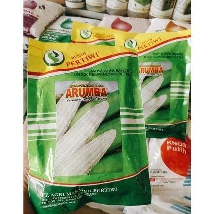 

Terlaris_Bibit Jagung Putih Pulut Manis Arumba 250gr Benih Pertiwi Unggul Original Promo Spesial