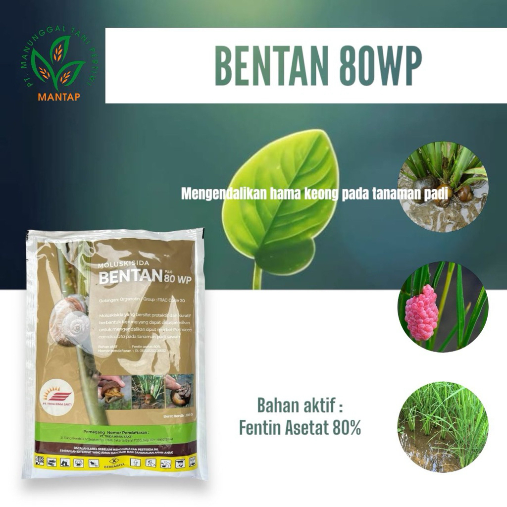 bentan 80wp 100gr