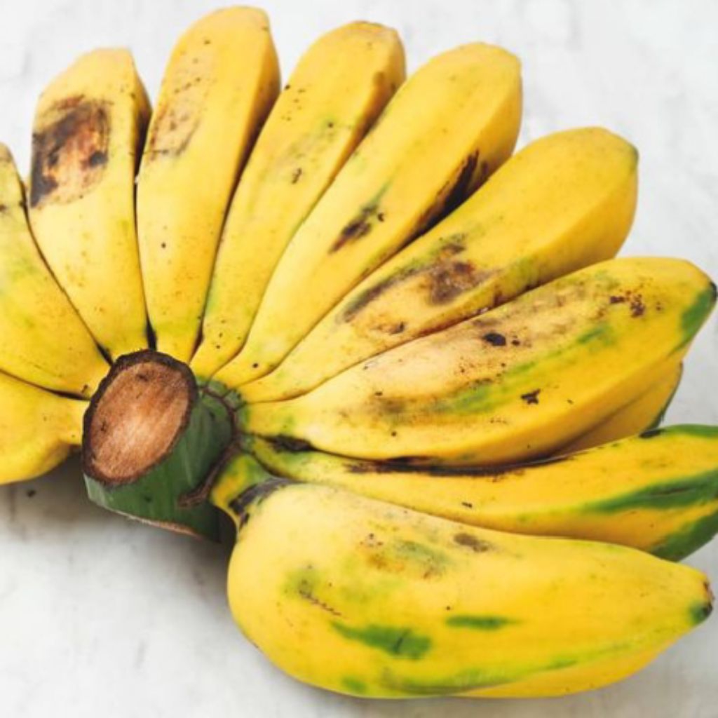 

[PS] Pisang Kepok