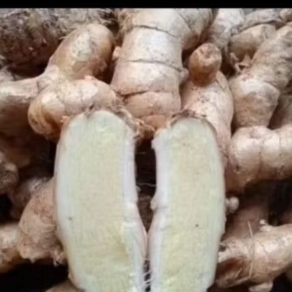 

kunyit putih segar alami . obat herbal .1000 gram. temu putih pilihaan di jamin asli...