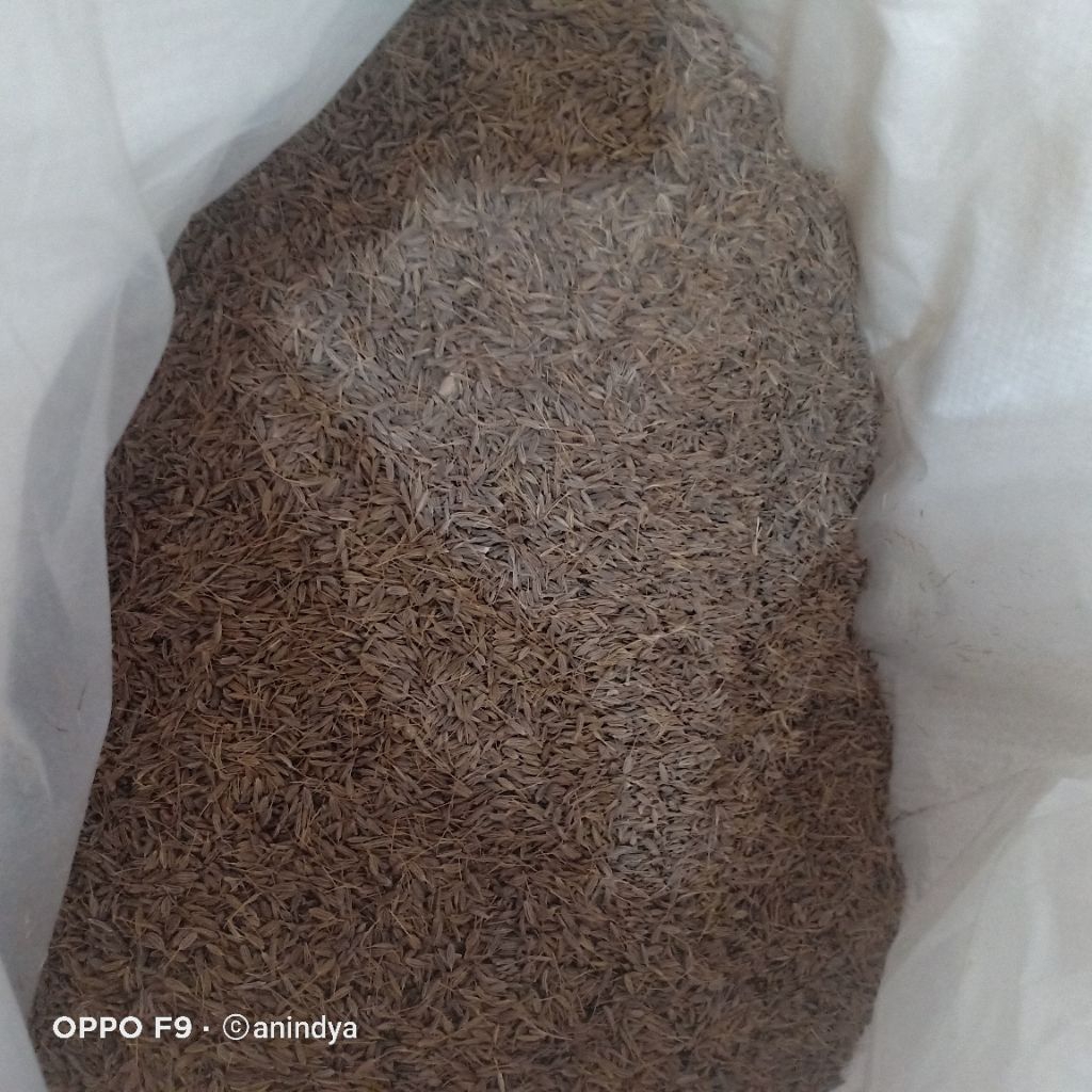 

jintan karaway jintan keraway utuh 25 kg