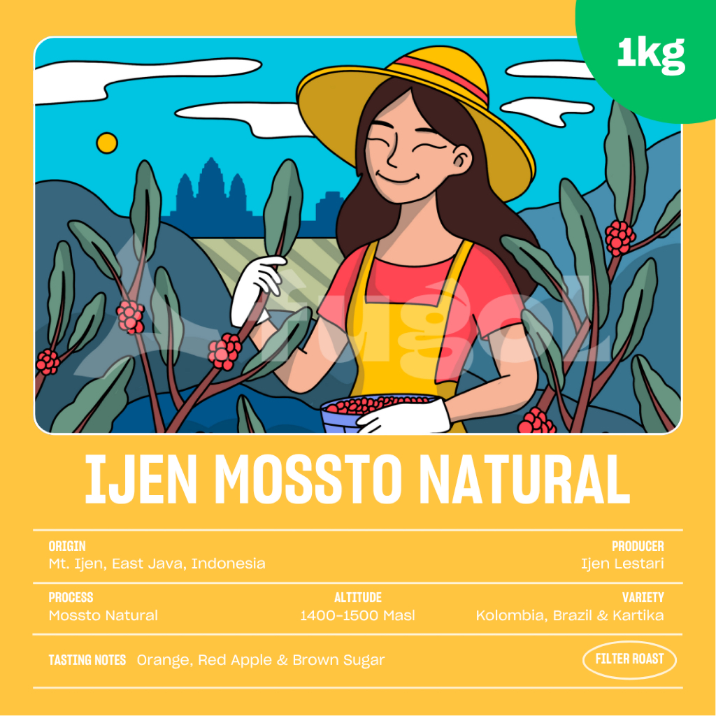 

Biji Kopi Arabika IJEN MOSSTO NATURAL (1 KG) Single Origin