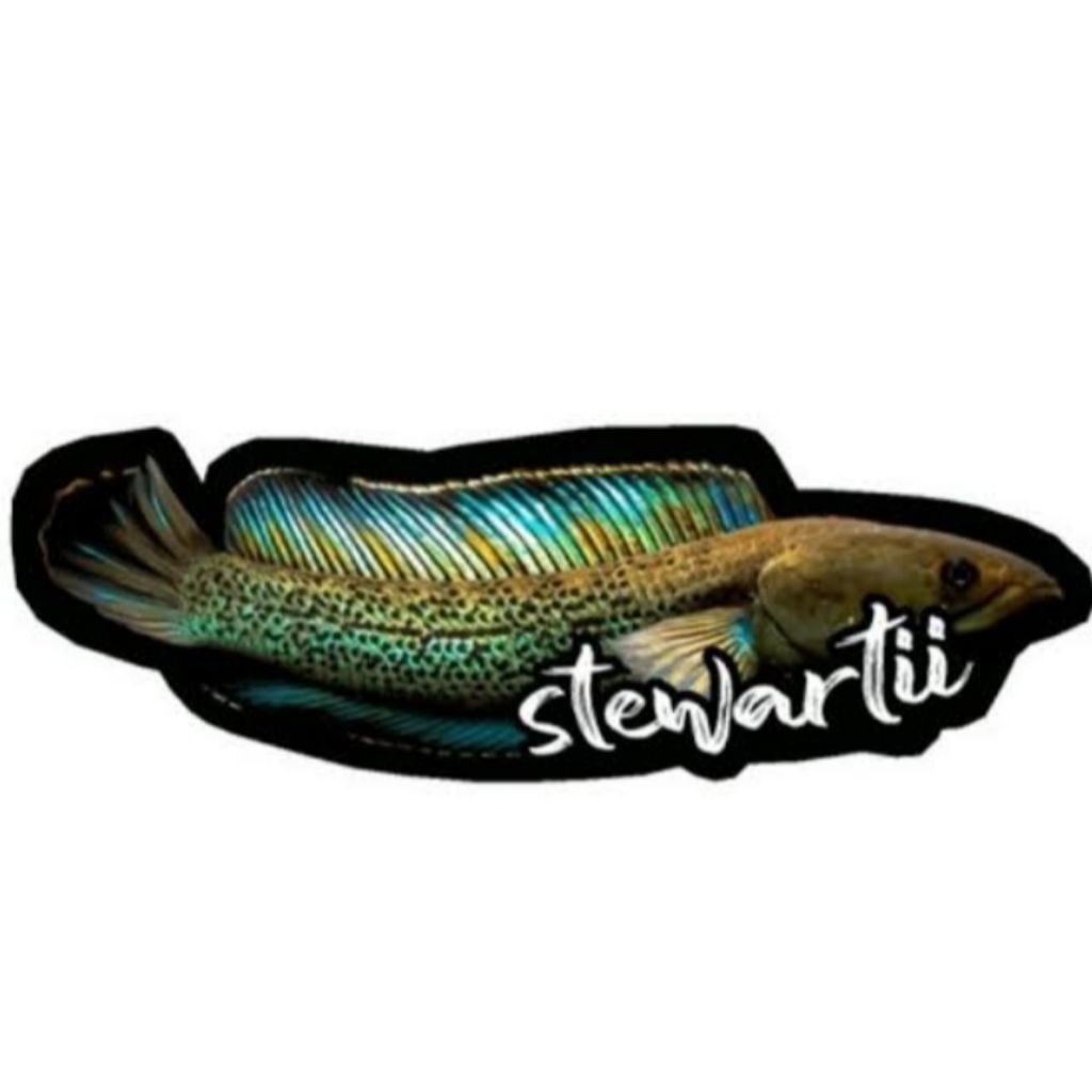 

stiker stewarti 7-9