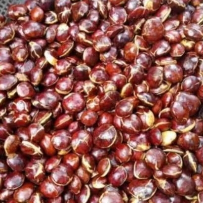 

jengkol 250 gram