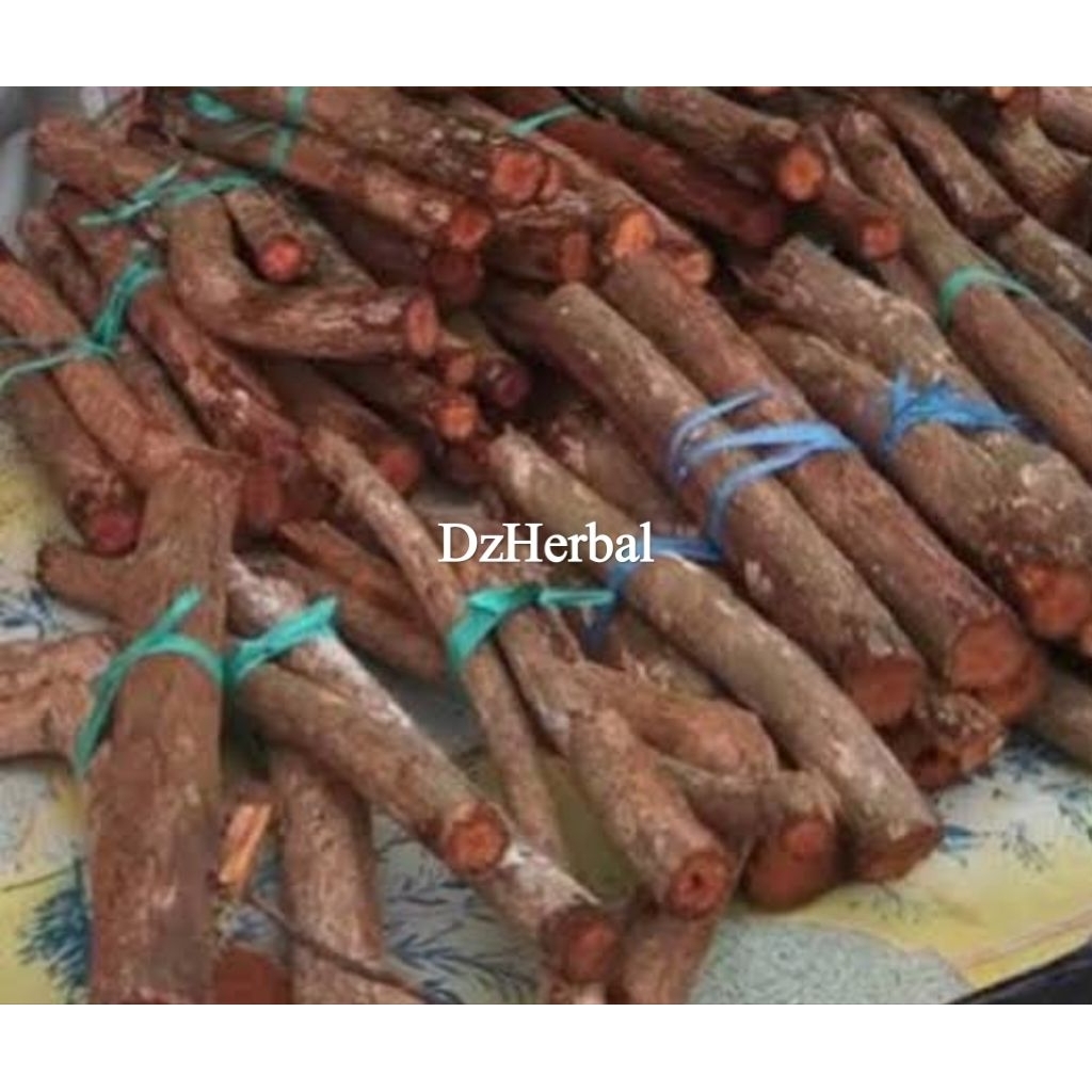 

Akar pohon mahoni segar akar mahoni fresh 1 kg-az