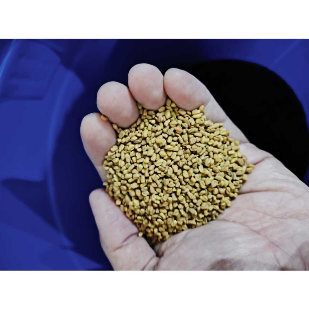 

Biji Klabet Fenugreek Kemasan 100gr 1ons