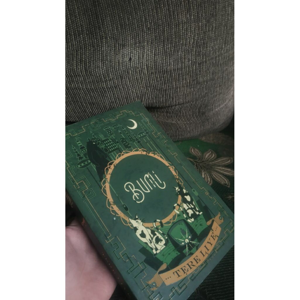 (preloved) Novel Bumi - Tere Liye, original