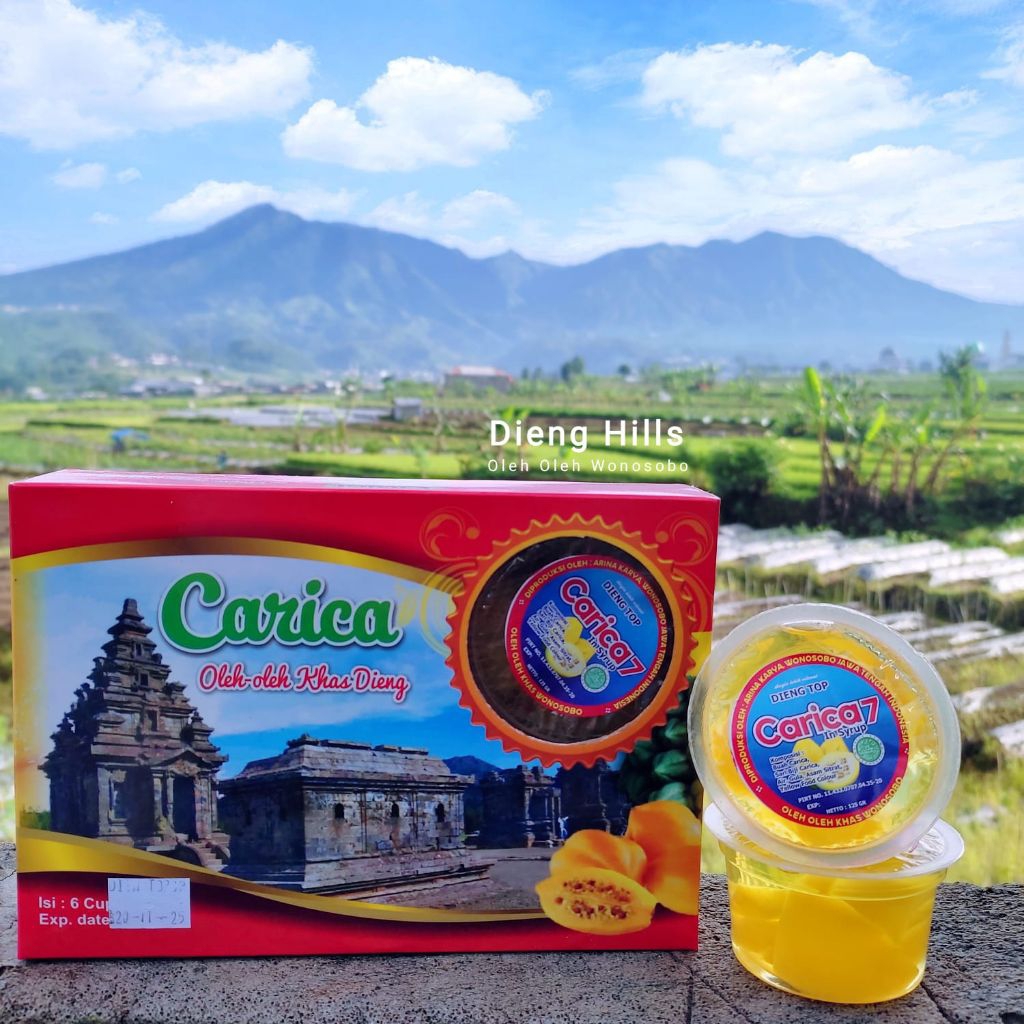 

CARICA IN SYIRUP KHAS DIENG WONOSOBO