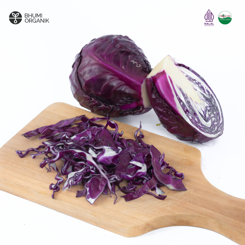 

Kol/Kubis Ungu Organik 500 gram - Ceritanik / Bhumi Organik - Purple Cabbage Organic - Sayur Organik Murah - Sayur Organik Sehat - Sayur Organik Premium
