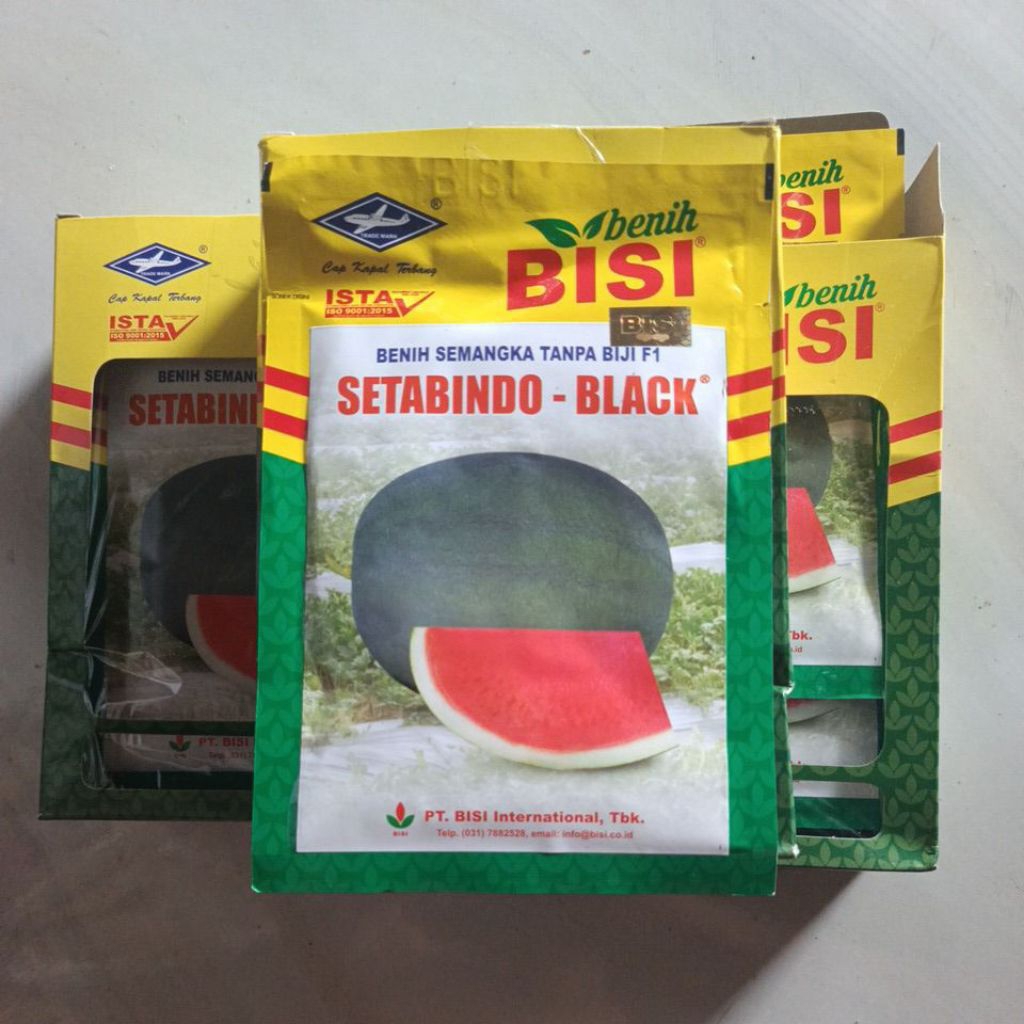 Benih Semangka Tanpa Biji SETABINDO BLACK 20Gr | BISI Original