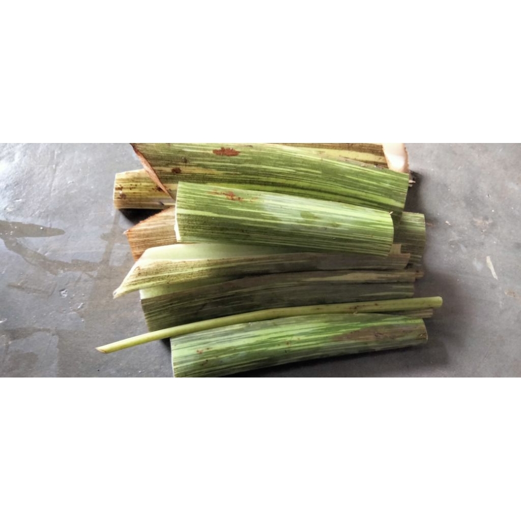 

Batang Talas Sayur 3000/ 4 potong