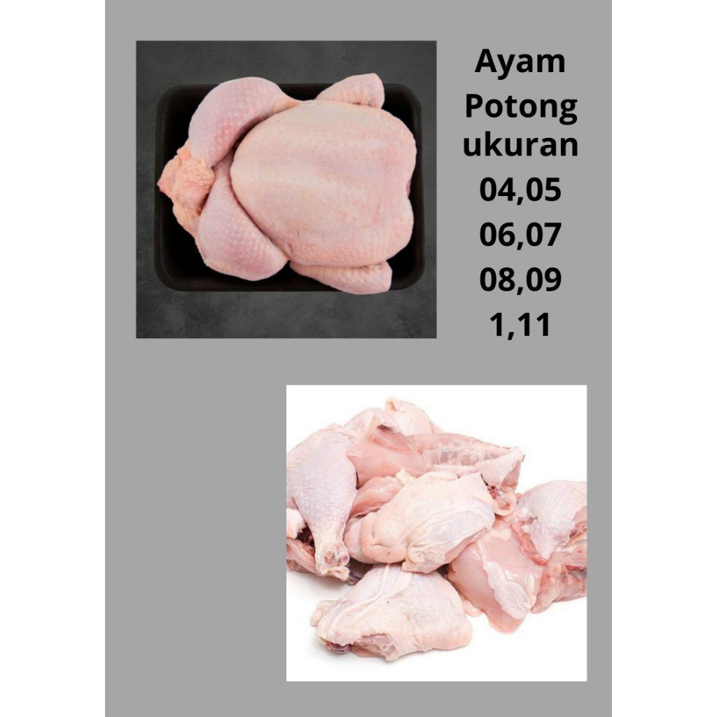 

AYAM KARKAS BOILER 400-1.500gr
