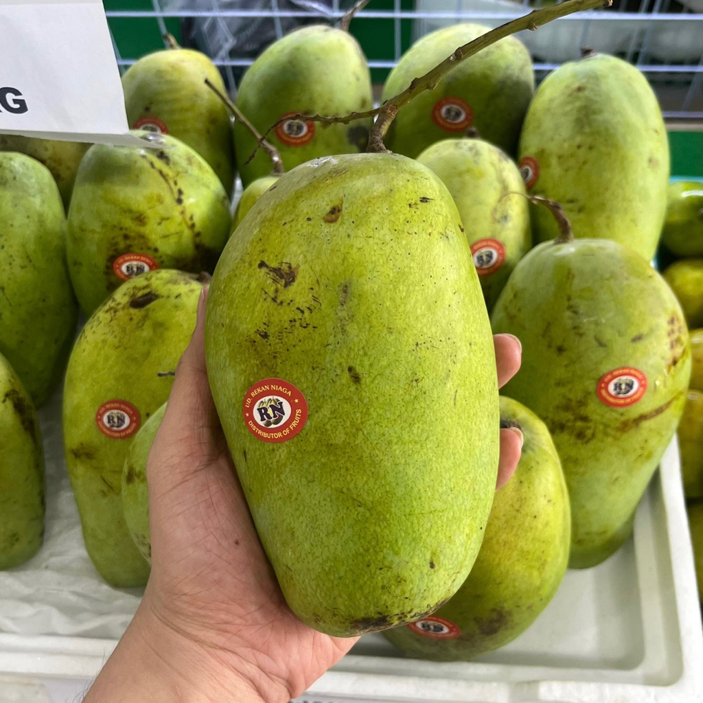

MANGGA GAJAH MANIS | BUAH MANGO FRUIT