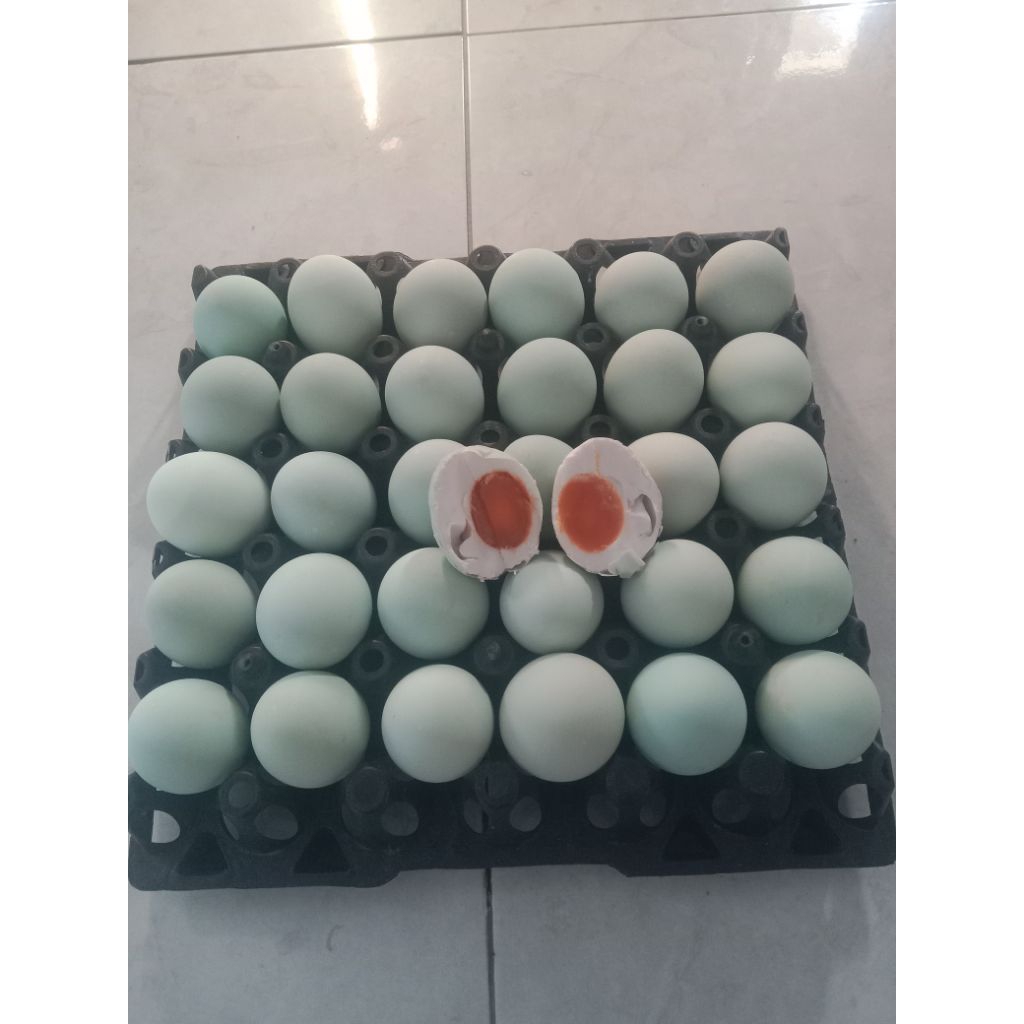 

telur asinpremium masir 1 bok isi 10 biji