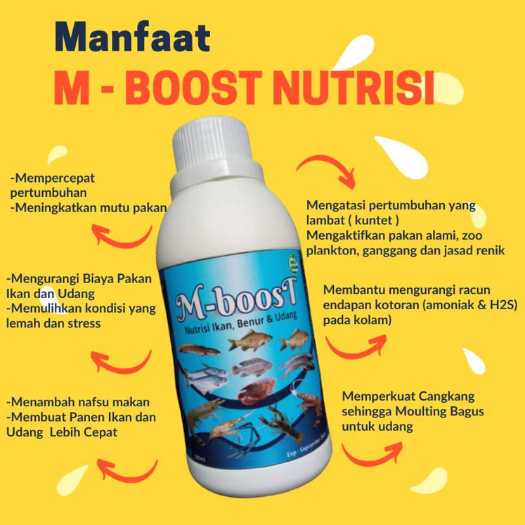 M BOOST NUTRISI PROBIOTIK STARTER IKAN AIR TAWAR VITAMIN PEMBESARAN IKAN BAKTERI PENCEGAH AMONIAK AI