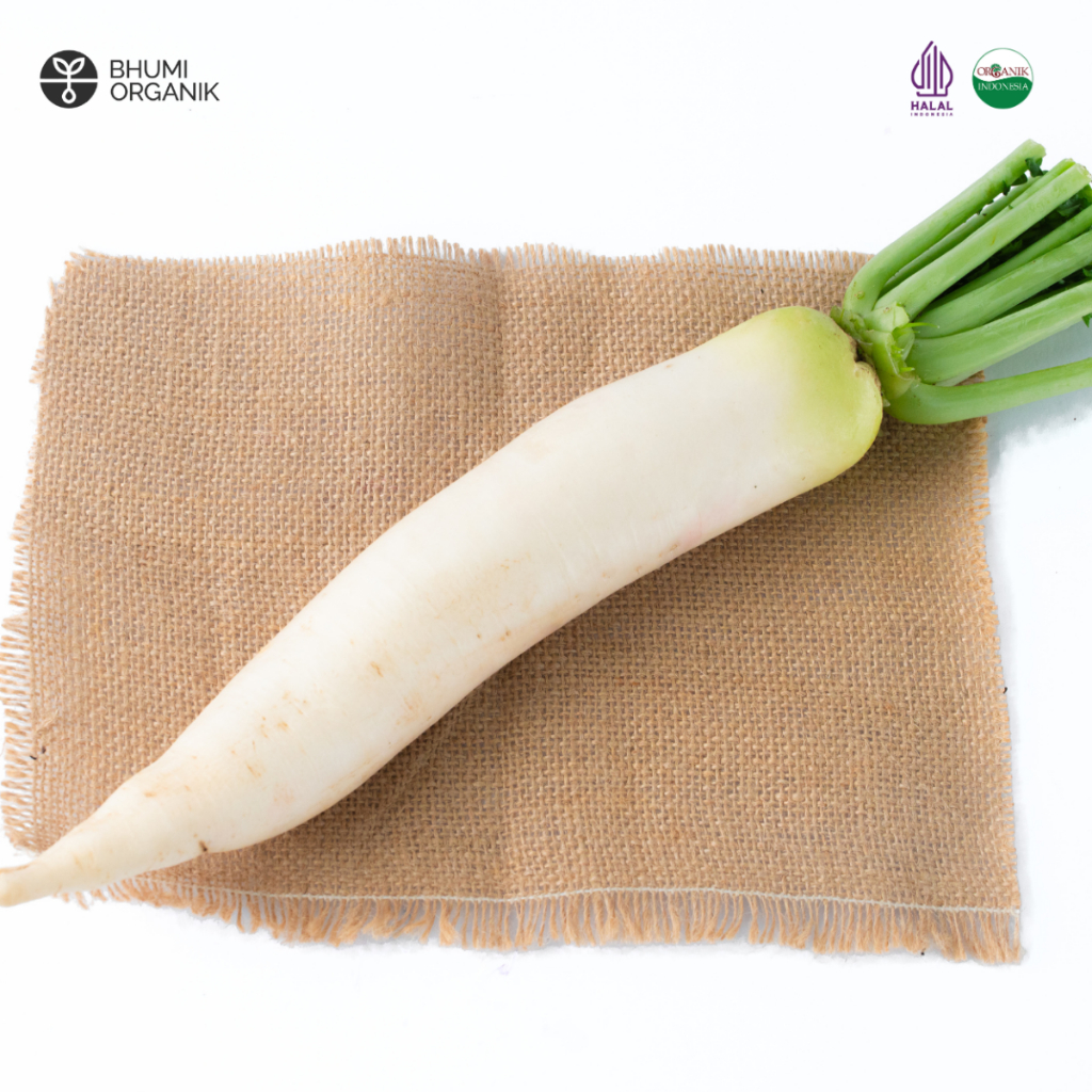 

Lobak Organik 500 gram - Ceritanik / Bhumi Organik - Radish Organic - Sayur Organik Murah - Sayur Organik Sehat - Sayur Organik Premium