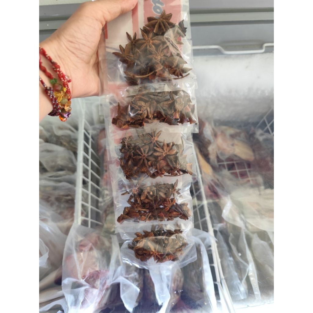 

Bunga Lawang /Pekak pax Besar