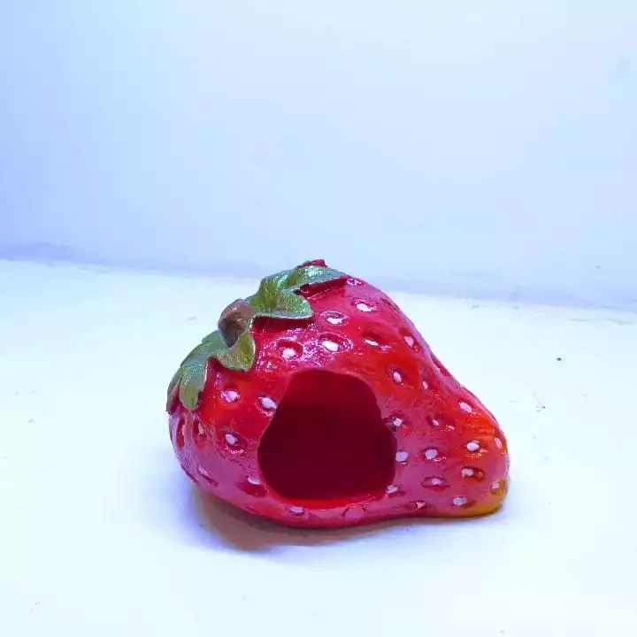 (The Ham's) strawberry / hiasan fiber strawberry / rumah hamster / hideout hamster / kandang hamster