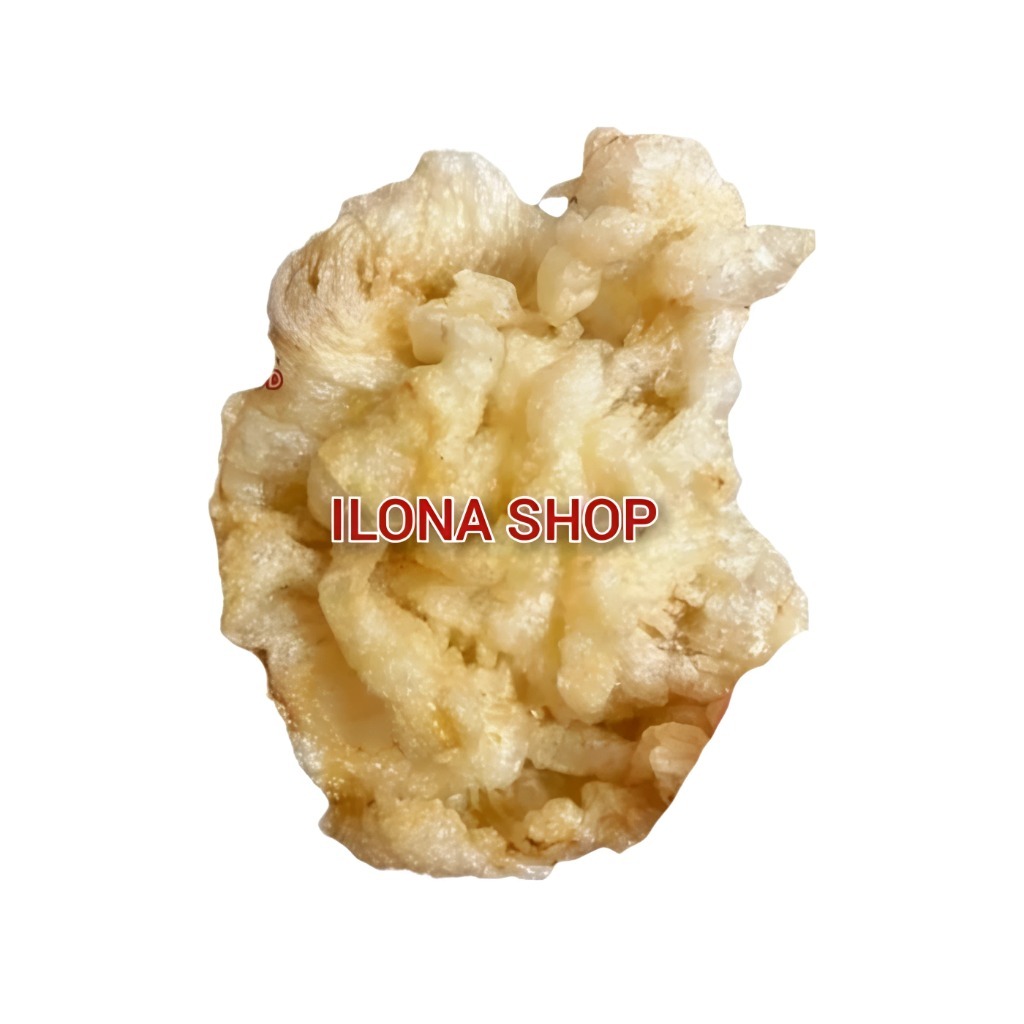 

PERUT IKAN HIPIO KERING GORENG MATANG / YI PHIAU / GELEMBUNG IKAN 100GR KUALITAS BAGUS