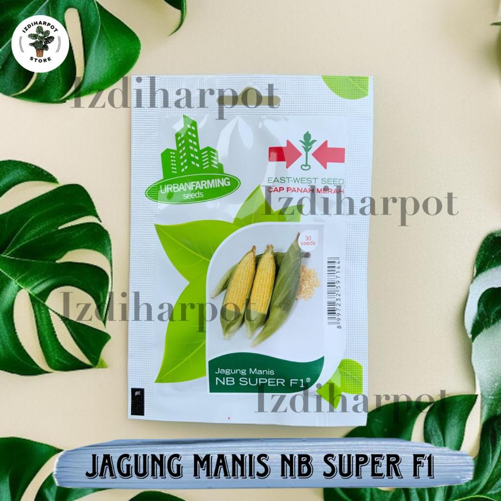 Benih Bibit Jagung Manis NB Super F1 Cap Panah Merah - JAGUNG MANIS NB SUPER F1 EAST WEST SEED