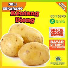 

Kentang dieng uk besar premium 1kgTerjamin dieng original