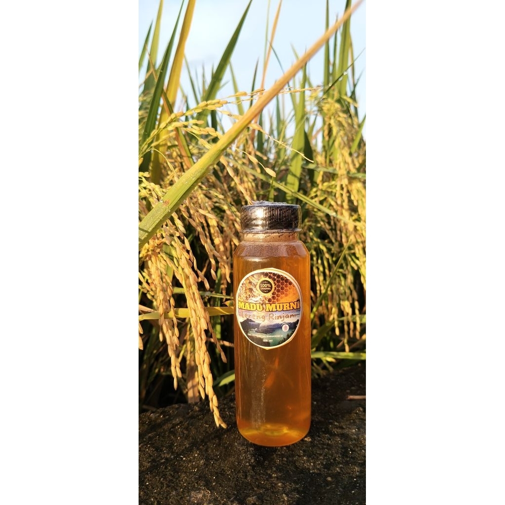 

madu hutan asli dan murni 100%(500ml)dari hutan gunung rinjani