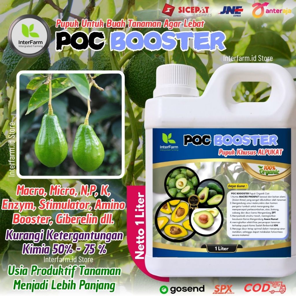 Pupuk Pelebat Buah Alpukat , Pupuk Untuk Tanaman Alpukat, Pupuk Cair Organik Untuk Alpukat INTERFARM