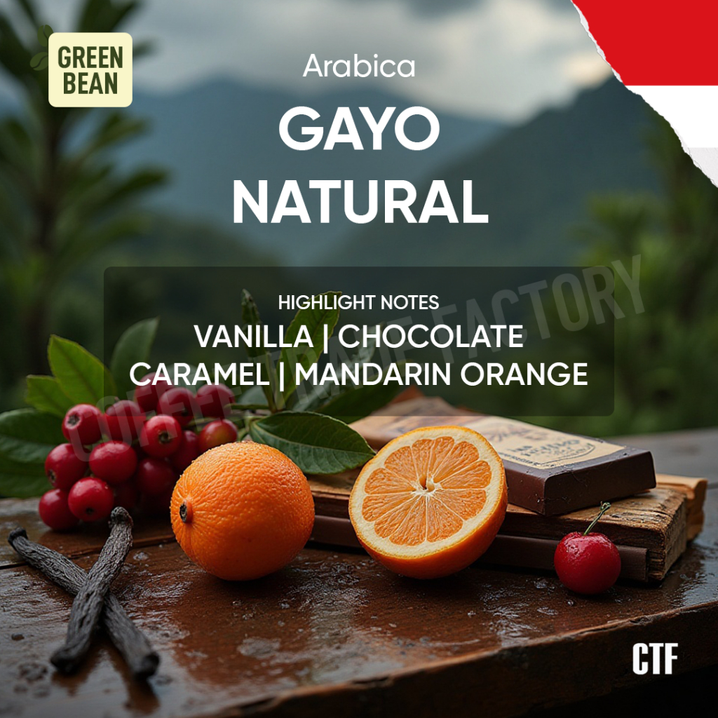 

Green Beans Arabika Gayo Natural Sun-Dried Pantan Sile, Central Aceh / Coffee Trade Factory CTF / Green Bean Arabica Gayo Natural Kopi Mentah Arabika Grade Premium untuk Roasting dan Manual Brew berkualitasi ini