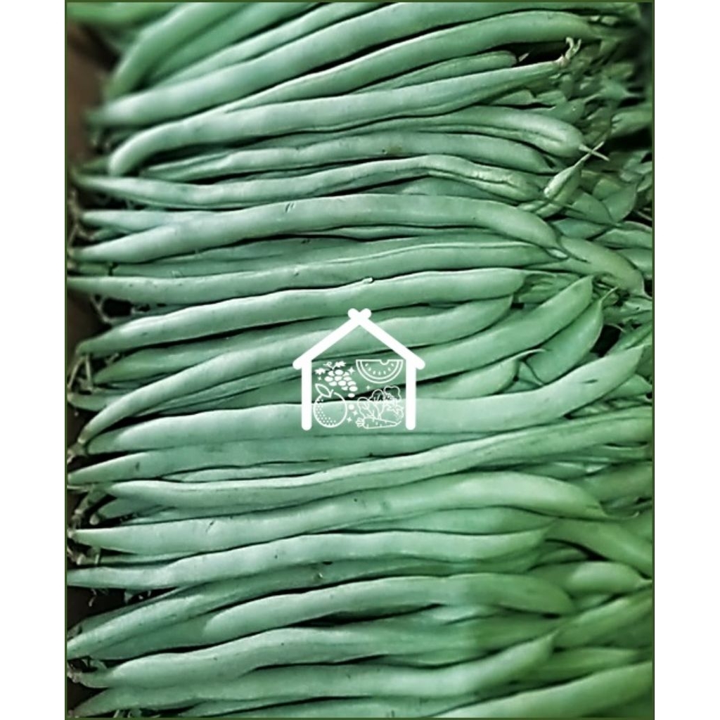 

Buncis 500 Gram Pilihan Hemat