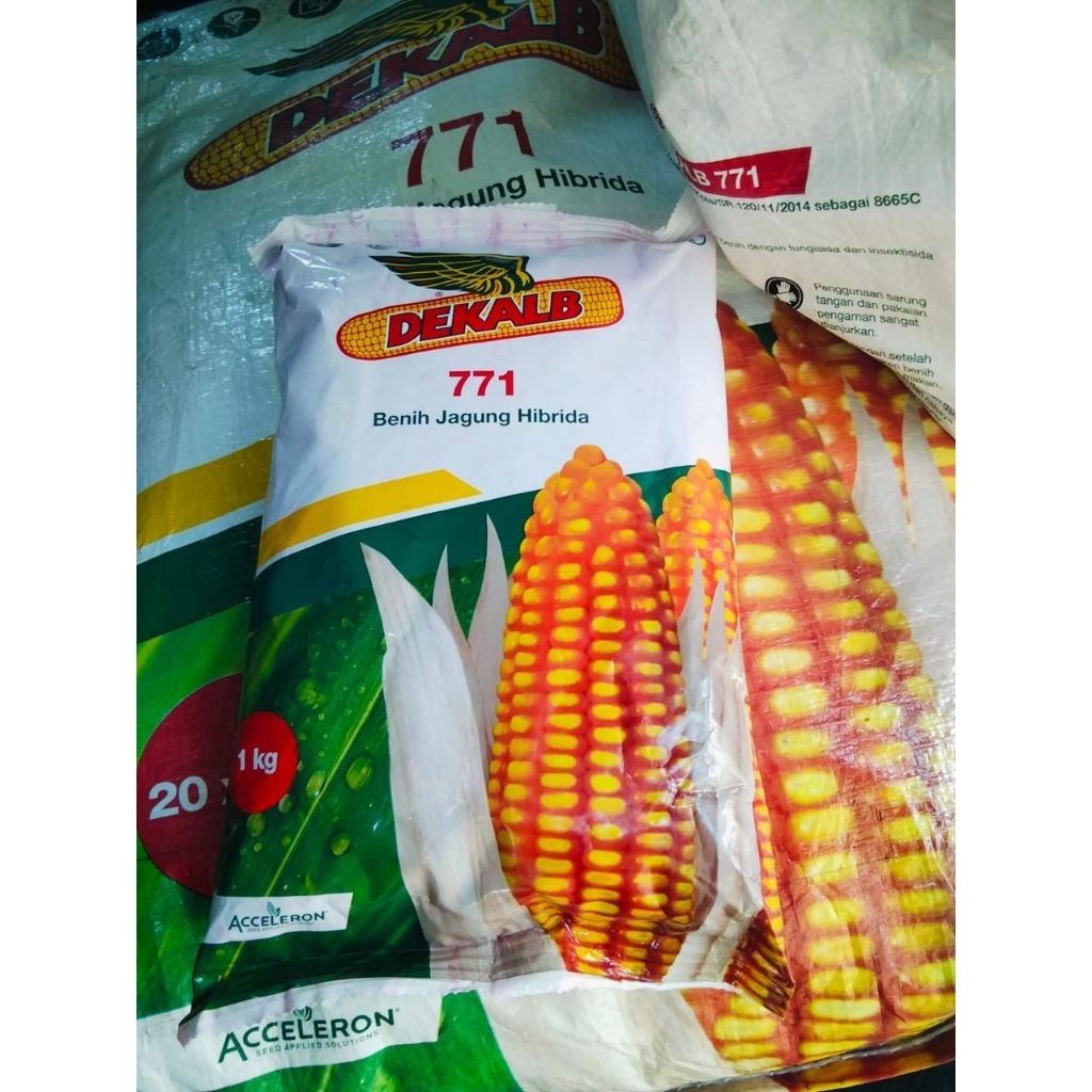 BENIH JAGUNG DK771 EXP. OKTOBER 2025