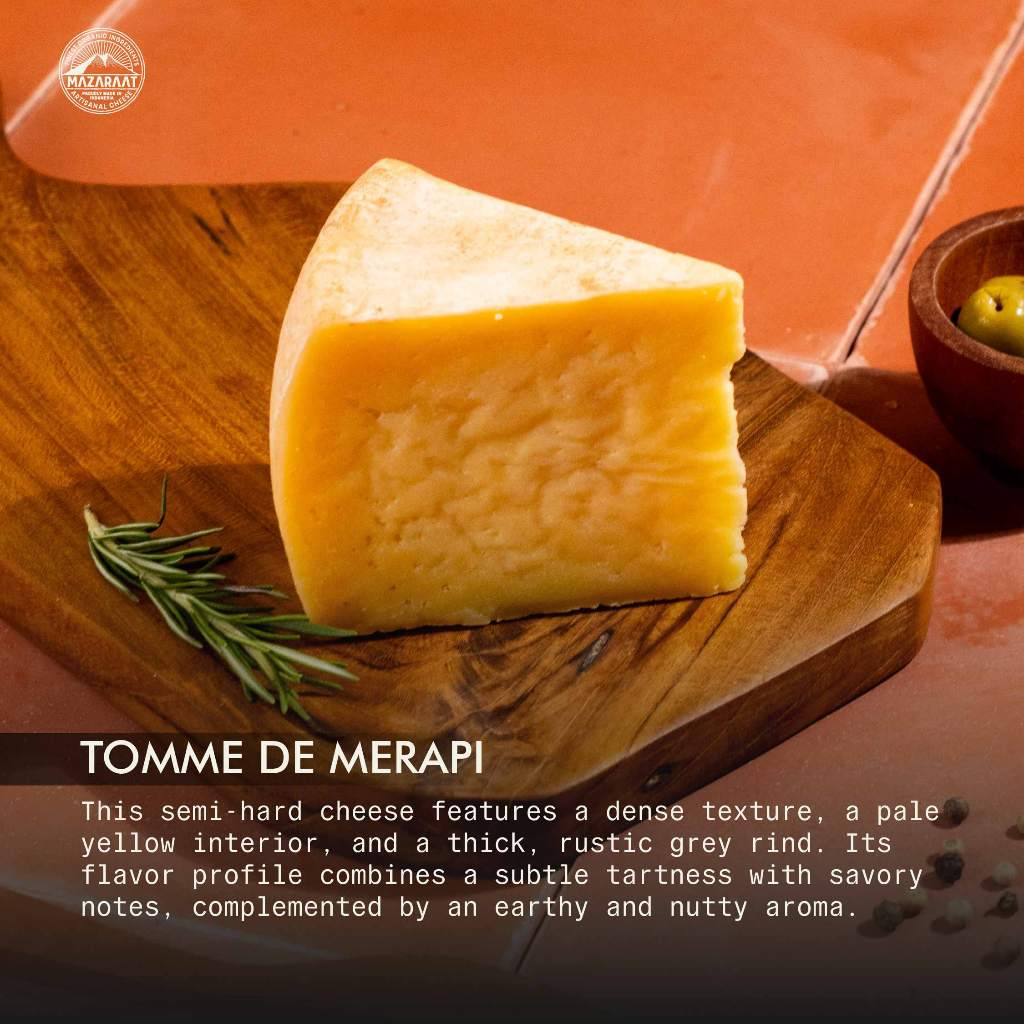 

MAZARAAT Tomme De Merapi Cheese (Semi-Hard Cheese)