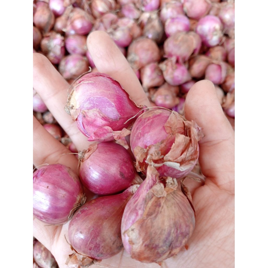 

Bawang merah super. 500gram