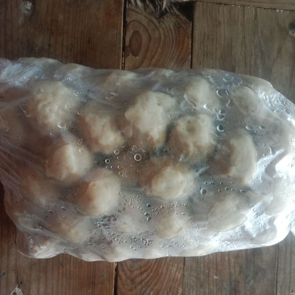 

Bakso Ayam Frozen isi 50 biji