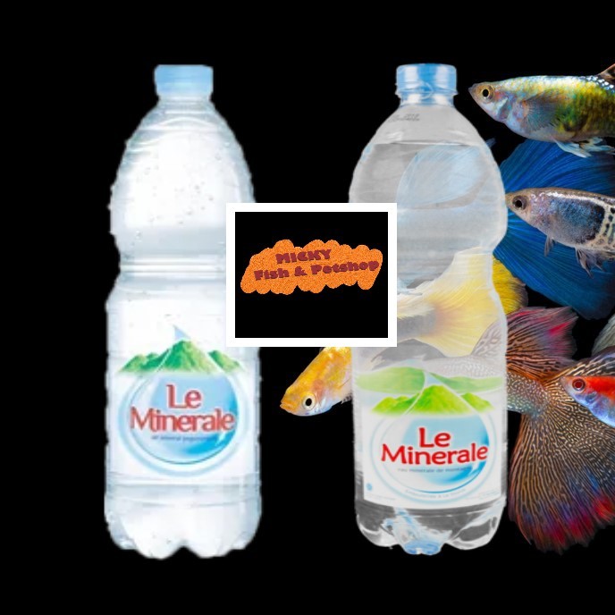 

Pesanan Khusus Reguler Botol Le Minerale