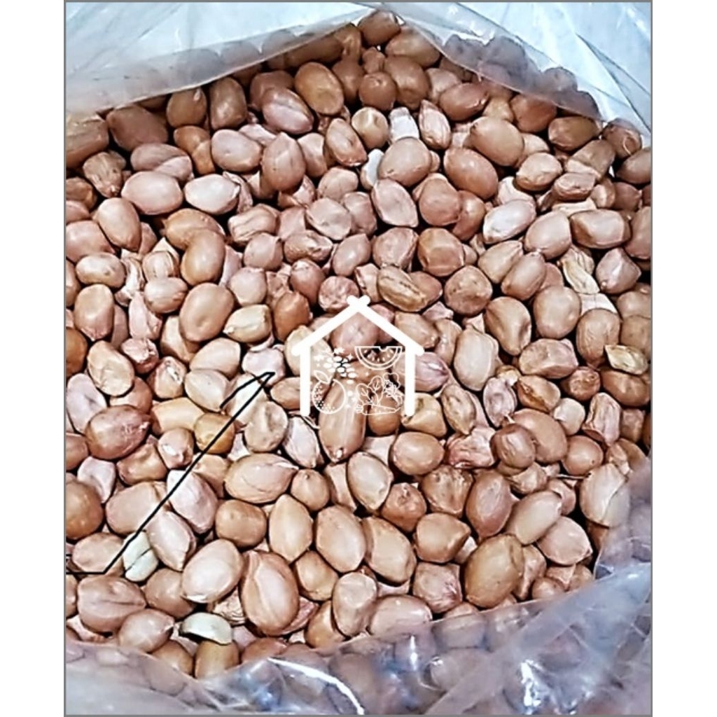

Kacang Tanah 500 Gram Piihan Hemat