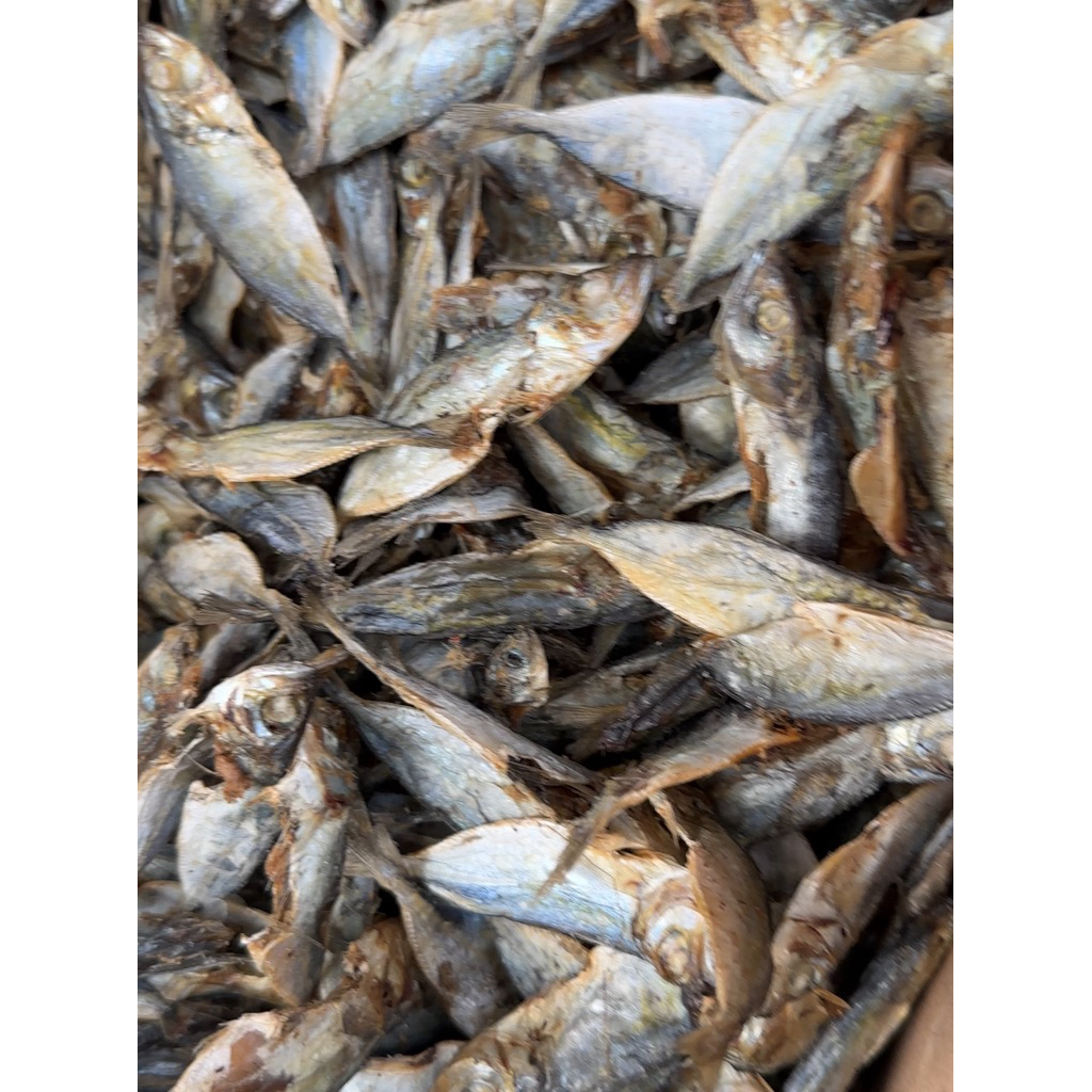 

Ikan Klotok tawar asin dikit sedang blenceng ceper 250gr Kering Murah & Kualitas Terbaik