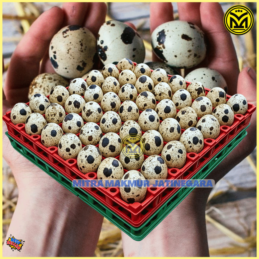 KRAT TELUR PUYUH PLASTIK ISI 90 TELUR TRAY EGG PUYUH KRAT PLASTIK TELOR PUYUH EGG TRAY