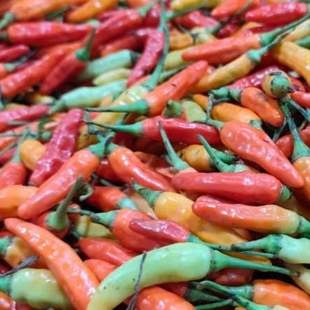 

cabe rawit merah fress 1000gram/1kg petik langsung dari petani