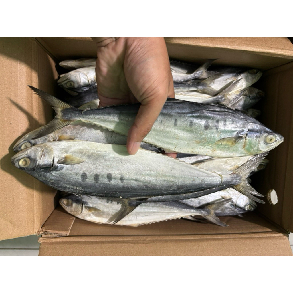 

Ikan Asin Wais Jumbo 1000gr