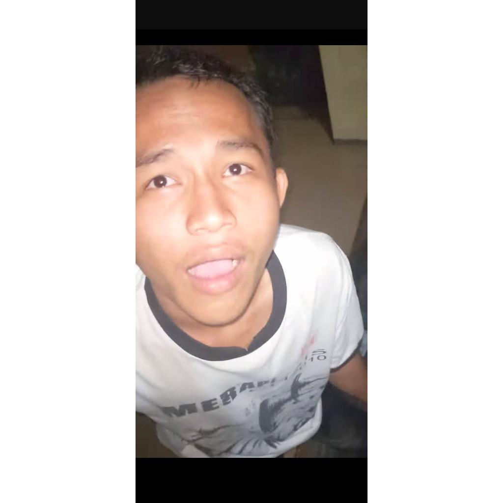 Musang jinak no minus dan siap pakai