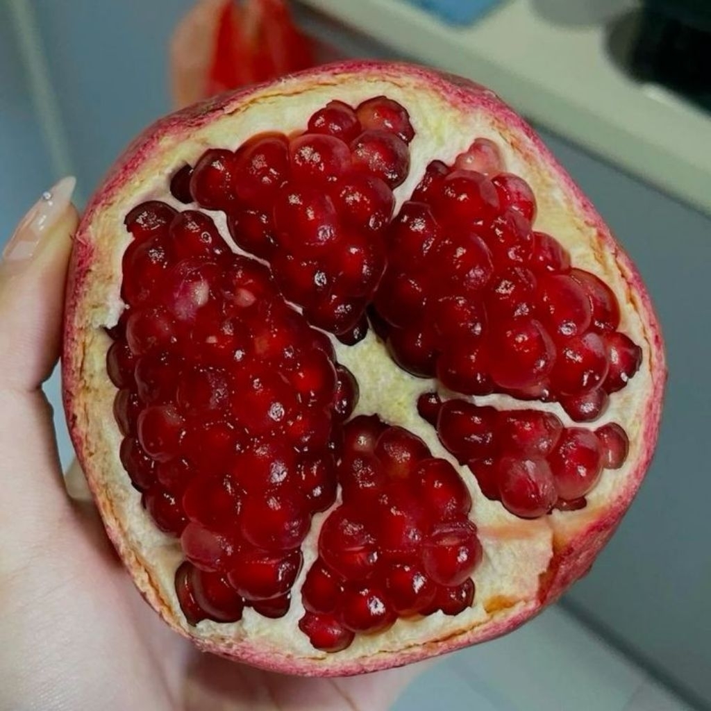 

DELIMA MERAH INDIA 1BUAH