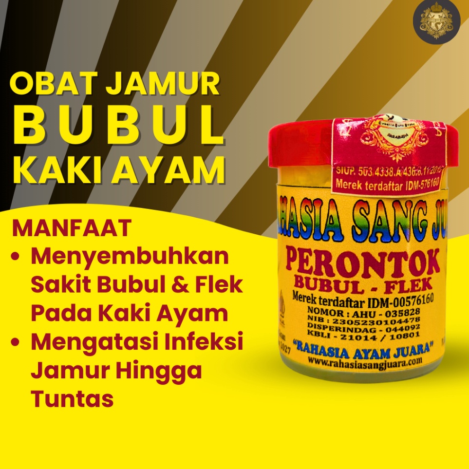 KODE P77T OBAT BUBUL AYAM BANGKOK ADUAN AMPUH MENYEMBUHKAN BUBULAN PADA KAKI AYAM BANGKOK