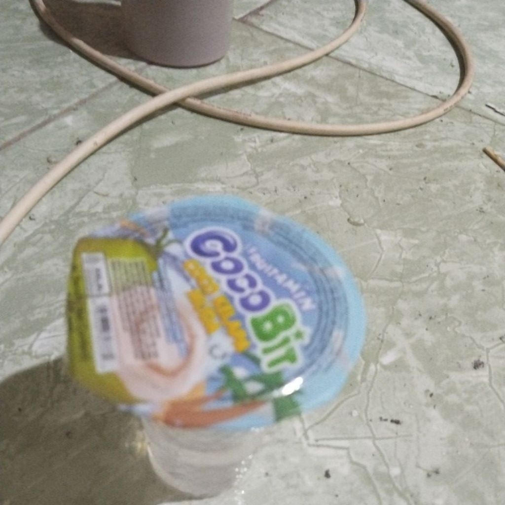 

coconut