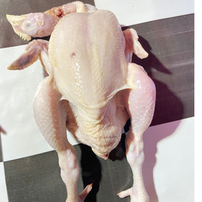 

Ayam boiler fresh UK 1,2